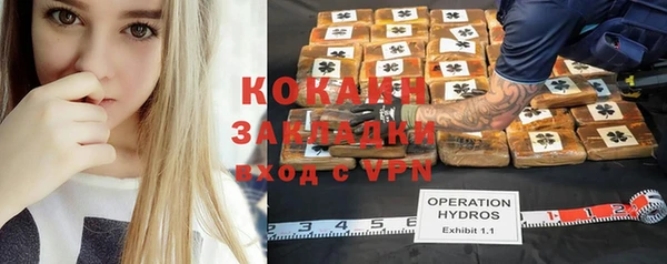 кокс Елизово