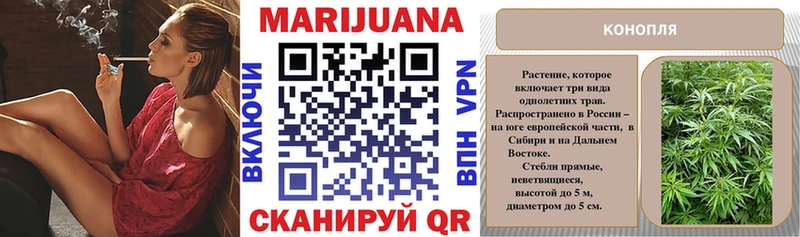 Купить где  Новозыбков  Конопля SATIVA & INDICA 